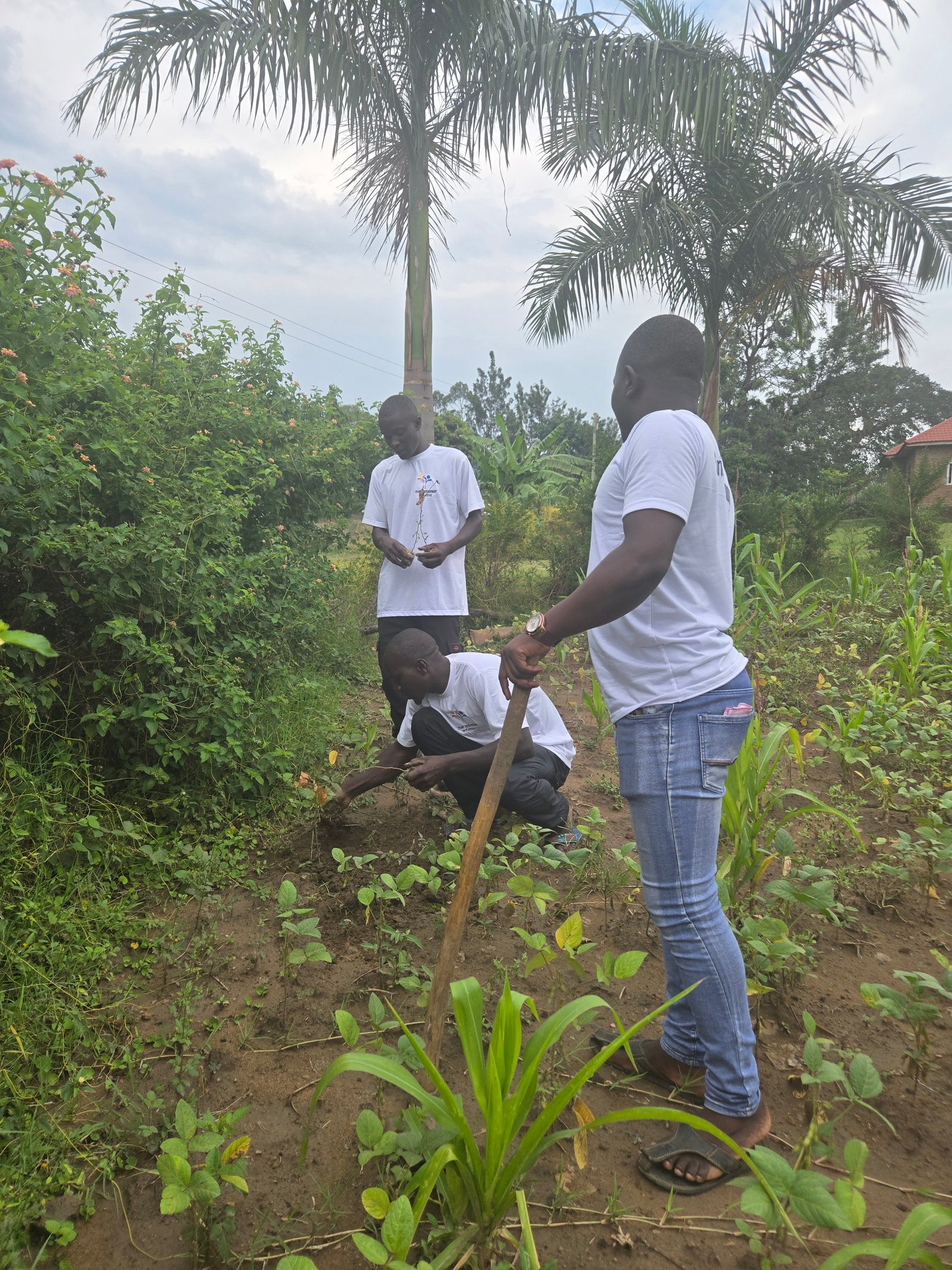 Why climate-smart agriculture matters for food security